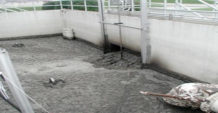 Primary Sludge before it enters the biotower at the O’Fallon Wastewater Treatment Plant (Photo by T. Baker)